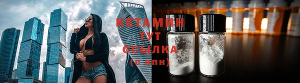 сатива Куйбышев