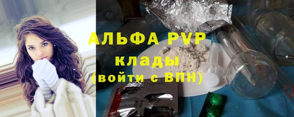 сатива Куйбышев