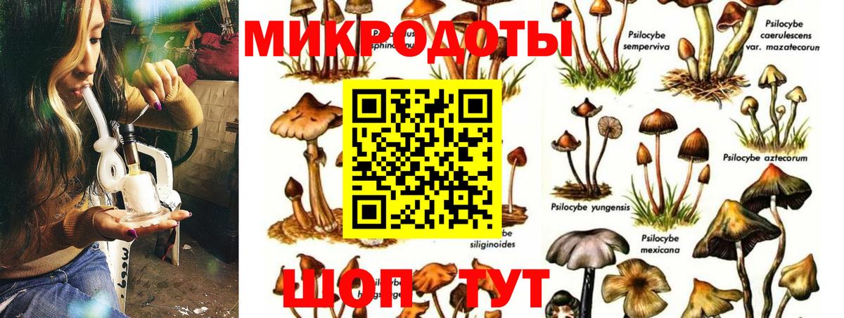 Галлюциногенные грибы ЛСД  Вход с VPN  Ковров 