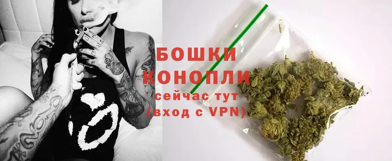 где продают наркотики  Ковров  Канабис SATIVA & INDICA 